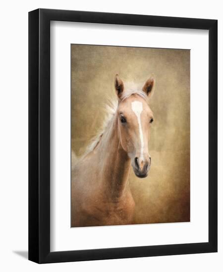 Golden Girl Palomino Horse-Jai Johnson-Framed Premium Giclee Print