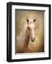 Golden Girl Palomino Horse-Jai Johnson-Framed Premium Giclee Print