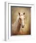 Golden Girl Palomino Horse-Jai Johnson-Framed Premium Giclee Print