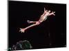 Golden Gliding Frog Jumping, Native to Philippines-David Northcott-Mounted Photographic Print