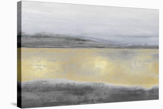 Golden Gloaming-Paul Duncan-Stretched Canvas