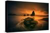 Golden Glow at Rodeo Beach, Marin, San Francisco California-Vincent James-Stretched Canvas