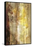 Golden Glow I-Sisa Jasper-Framed Stretched Canvas