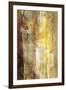 Golden Glow I-Sisa Jasper-Framed Art Print