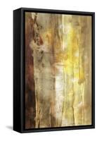 Golden Glow I-Sisa Jasper-Framed Stretched Canvas