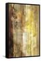 Golden Glow I-Sisa Jasper-Framed Stretched Canvas