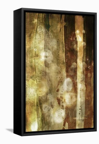 Golden Glow II-Sisa Jasper-Framed Stretched Canvas