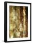 Golden Glow II-Sisa Jasper-Framed Art Print