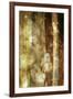 Golden Glow II-Sisa Jasper-Framed Art Print