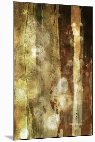 Golden Glow II-Sisa Jasper-Mounted Art Print