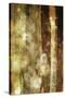 Golden Glow II-Sisa Jasper-Stretched Canvas