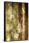 Golden Glow II-Sisa Jasper-Framed Stretched Canvas