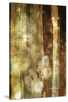 Golden Glow II-Sisa Jasper-Stretched Canvas