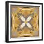 Golden Glow Square XVIII-Pela Design-Framed Art Print