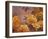 Golden Glow-Emma Styles-Framed Art Print