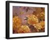 Golden Glow-Emma Styles-Framed Art Print