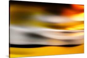 Golden Glow-Ursula Abresch-Stretched Canvas