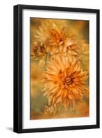 GOLDEN GLOW-Jacky Parker-Framed Giclee Print