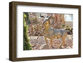 Golden Goat Statue. Chinese New Year 2015.-vivairina-Framed Photographic Print