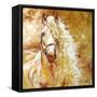 Golden Grace Andalusian Equine-Marcia Baldwin-Framed Stretched Canvas