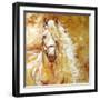 Golden Grace Andalusian Equine-Marcia Baldwin-Framed Giclee Print