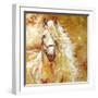 Golden Grace Andalusian Equine-Marcia Baldwin-Framed Giclee Print