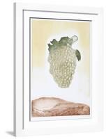 Golden Grapes-Hank Laventhol-Framed Limited Edition