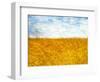 Golden Grass in the Wind-Robert Cattan-Framed Photographic Print