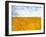 Golden Grass in the Wind-Robert Cattan-Framed Premium Photographic Print