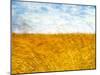 Golden Grass in the Wind-Robert Cattan-Mounted Premium Photographic Print