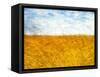 Golden Grass in the Wind-Robert Cattan-Framed Stretched Canvas