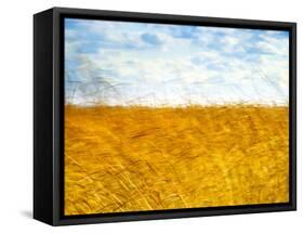 Golden Grass in the Wind-Robert Cattan-Framed Stretched Canvas