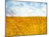 Golden Grass in the Wind-Robert Cattan-Mounted Photographic Print