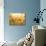 Golden Grass-null-Photographic Print displayed on a wall