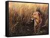 Golden Grass-Leo Stans-Framed Stretched Canvas