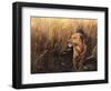 Golden Grass-Leo Stans-Framed Art Print