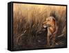 Golden Grass-Leo Stans-Framed Stretched Canvas