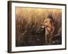 Golden Grass-Leo Stans-Framed Art Print