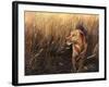 Golden Grass-Leo Stans-Framed Art Print