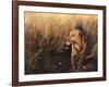 Golden Grass-Leo Stans-Framed Art Print