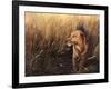 Golden Grass-Leo Stans-Framed Art Print