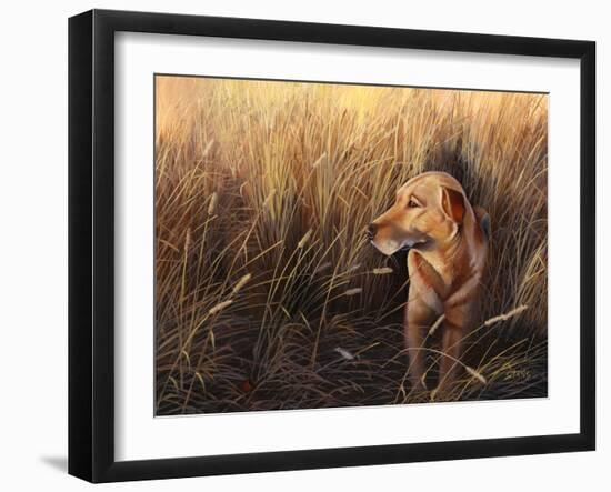 Golden Grass-Leo Stans-Framed Art Print