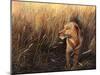 Golden Grass-Leo Stans-Mounted Art Print