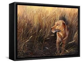 Golden Grass-Leo Stans-Framed Stretched Canvas