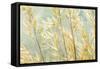 Golden Grasses-Kathy Mahan-Framed Stretched Canvas