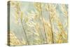 Golden Grasses-Kathy Mahan-Stretched Canvas