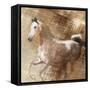 Golden Grey-Kari Brooks-Framed Stretched Canvas