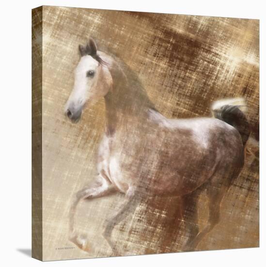 Golden Grey-Kari Brooks-Stretched Canvas