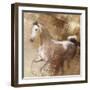 Golden Grey-Kari Brooks-Framed Art Print