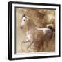 Golden Grey-Kari Brooks-Framed Art Print